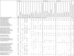 Image result for Hirpicium bechuanense