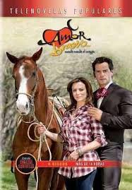 Amor Bravio In 2020 Dvd Cool Things To Buy Amor