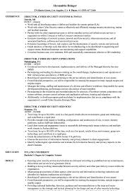 Director Cyber Security Resume Samples Velvet Jobs