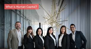 It is needed by companies to achieve goals, develop and remain innovative. What Is Human Capital Talentlyft