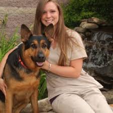 ︎ all pets animal hospital & rehabilitation center. The Best 10 Veterinarians Near Fox Run Veterinary Services In Weaverville Nc Yelp