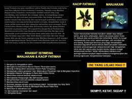 Demikianlah pembahasan tentang 5 manfaat manjakani yang luar biasa untuk wanita. Etron Global Sdn Bhd