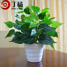 Tanaman hias dari kresek/artificial plants made of plastic bags by:anindita handmade #aglonemadariplastikkresek#bungaplastikkresek#. Ready Stock Meja Pokok Hiasan Nordic Plastik Pokok Pokok Bunga Meja Hiasan Rumput Meja Plastik Tanaman Palsu Dalam Rumah Plastik Viral Hidup Skybird Style Hiasan Dalaman Shopee Malaysia