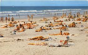 Provide feedback for this photo. Nude Sunbathing At Black S Beach San Diego Ca 1982 United States California San Diego Postcard Hippostcard