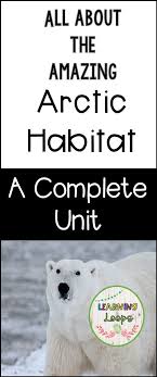 Habitat In 2020 Arctic Habitat Habitats Arctic