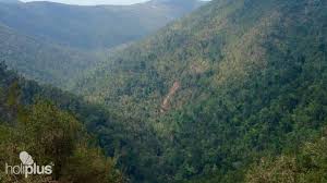 Pinares, entre soria y burgos. Book Jeep Safari Natur Tour Nach Pinares De Mayari Departure From Santiago De Cuba Cuba Ecotur