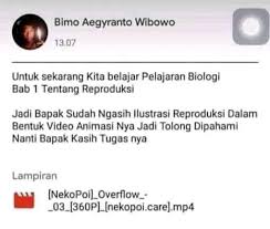 Nekopoi android apk lover's if you are searching to download latest nekopoi android apk, then congratulations you have come to the right page. Wibu Desu Home Facebook