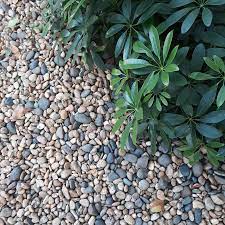 In terms of pea gravel vs. Hopper 1 Cubic Yard Brown Pea Gravel Lowes Com Pea Gravel Landscaping With Rocks River Rock Landscaping