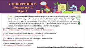 El sol me mira cuando ellas respiran en la noche, duelen de noche bajo el sol. Cuadernillo 6 Semana 1 Dia 1 Actividades 1 Y 2 De Sexto Primaria Youtube