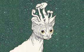 Ultra Hd 4k Trippy Stoner Wallpaper Trippy Wallpaper Trippy Backgrounds Trippy Cat