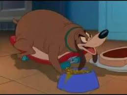 You can follow any responses to this entry through the rss 2.0 feed. Fat Dog Tom And Jerry Youtube