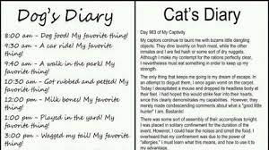 But @ op are you an animal doctor? Dog Vs Cat Diary Youtube