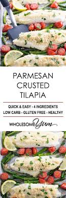 Easy Baked Parmesan Crusted Tilapia Recipe With Mayo Just 4 Ingredients Needed For This Easy Parmesa With Images Parmesan Crusted Tilapia Seafood Recipes Tilapia Recipes