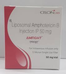 And filamentous moulds such as zygomycetes. Liposomal Amphotericin B Injection Ip 50mg Amfight Box Prescription Rs 7500 Vial Id 21369596273