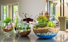 Los cáctus, aunque son capaces de aguantar altas temperaturas y necesitan muy poco sustrato y agua. Como Hacer Un Terrarium O Terrario Paso A Paso Diy Como Organizar La Casa