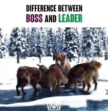 Andrea Baldo Business Page Home Facebook