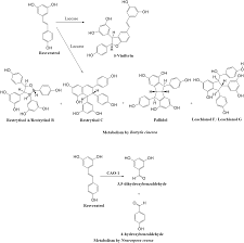 De avila, luis de avila, antonio m de avila, telmo medeiros de avila, <private> ramos (born avila), maria. Phytostilbenes As Agrochemicals Biosynthesis Bioactivity Metabolic Engineering And Biotechnology Natural Product Reports Rsc Publishing