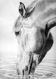40 Realistic Animal Pencil Drawings Horse Drawings Realistic Animal Drawings Pencil Drawings Of Animals