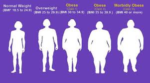 Correct Me If I Am Wrong Knowing Your Body Mass Index