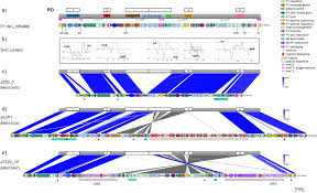 Finde bei xing neue jobs, spannende kontakte und inspirierende news. Diversity Of P1 Phage Like Elements In Multidrug Resistant Escherichia Coli Scientific Reports
