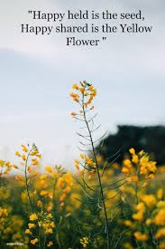 We did not find results for: 40 Beautiful Flower Quotes And Puns For Instagram 2021