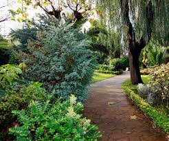 Maybe you would like to learn more about one of these? La Villa El Bosque