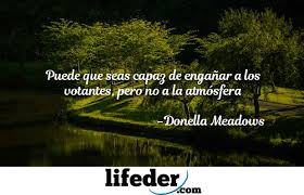 Resultado de imagen para FRASES DEL MEDIO AMBIENTE