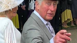 I'm learning, changing, creating and so grateful': Ely Hero Ruth Marley  spends day at Buckingham Palace for Royal Garden Party