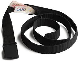 Anti Theft Travel Belt