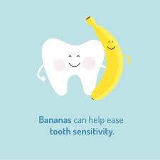 Orthodontic Perimeter Pediatric Dentistry Dental Fun Facts Dental Fun Dental Quotes
