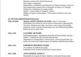 French Cv Writing Service Professional And Quality Help With Editing Your Paper