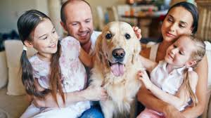 Weder aus dem schlafzimmer rausräumen noch eine weitere hundeschulenausbildung machen. Hunde Kosten Futter Tierarzt Steuer Ein Hund Verschlingt Ein Kleines Vermogen Stern De