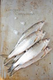 Check spelling or type a new query. Tortelli Di Battuto Di Coregone E Capperi Con Fumetto Profumato Allo Zafferano