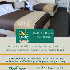 A Hotel Room All To Myself Is My Idea Of A Good Time In 2020 Pawleys Island South Carolina Hotel Hotel