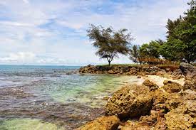 Aturan baru yang melarang pengunjung bugil di pantai itu bermula atas banyak laporan yang masuk pada pihak keamanan. Wisata Pantai Bugel Cemara Banten Wisata Indonesia