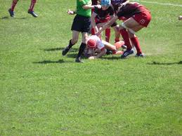Book online, pay at the hotel. Teuliere A Champions Du Comite Cote D Argent Stade Langonnais Rugby