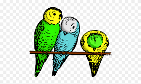 56+ lukisan burung lovebird ngekek, gambar lukisan. Parakeets Colored Gambar Burung Parkit Kartun Clipart 5690255 Pinclipart