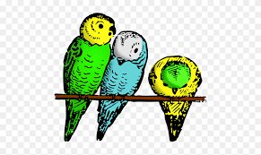 Burung lovebird menjadi salah satu jenis burung yang tidak pernah kehabisan penggemar setia. Parakeets Colored Gambar Burung Parkit Kartun Clipart 5690255 Pinclipart