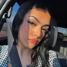 Temporary hunter/jumper trainer and barn in TC area