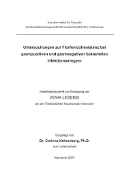 ✅ von 13 künstlern ✅ und viele weitere ideen. Istas Istb