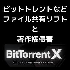 BitTorrent(ビットトレント)などファイル共有ソフト（P2P）での違法アップロードをめぐる発信者情報開示請求やその対処法 -  誹謗中傷削除・発信者情報開示の弁護士無料相談