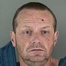 Man who shot 9 nails into woman's head sentenced to prison