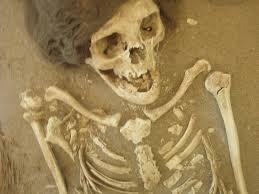 We did not find results for: Amazing Museum Review Of Museo Momias Chinchorro Arica Chile Tripadvisor