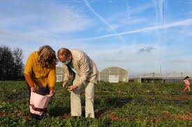 Papa, maman, nathalie et le(petit) nicolas son à table. Saint Gratien La Cueillette Recolte Les Fruits Du Confinement