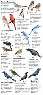 Check spelling or type a new query. Birds Of North Florida Including The Panhandle Quick Reference Publishing