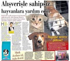 Haytapshop Alisverisle Sahipsiz Hayvanlara Yardim Edin Basinda Haytap Kurumsal Haytap Hayvan Haklari Federasyonu