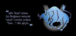 Boga Burcu Sozleri Boga Burcu Kadinlari Ve Boga Burcu Erkekleri Icin Yepyeni Boga Burcunu Anlatan Guzel Sozler Ile Boga Burcu Ozellikl 2020 Boga Burcu Burclar Boga