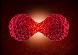 Take this quiz to see what facts you have right—and what you still need to learn. Parasitic Medication Ivermectin Found To Suppresses Tumour Development