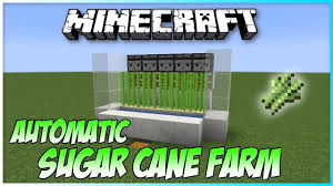 Minecraft Full Auto Sugar Cane Farm Tutorial 1 13 Minecraft Farm Minecraft Automatic Farm Minecraft Blueprints