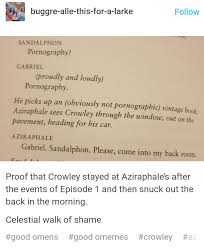 Bird Hitting Window Omen Pin On 2 Gays Misplaced The Antichrist